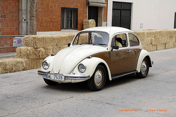 AgroGuadassuar0046