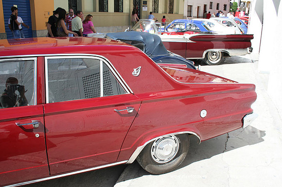 Chiva113