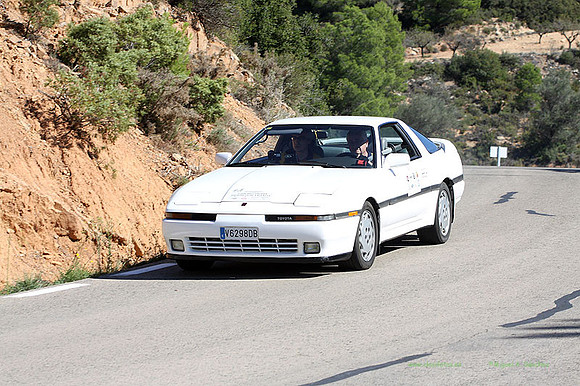 Tourist Trophy451