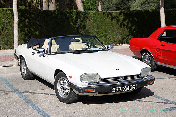 IIConcMoraira004