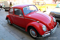 Chiva010