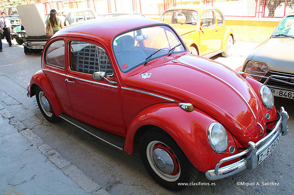 Chiva010