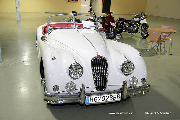 AnticAuto2010168