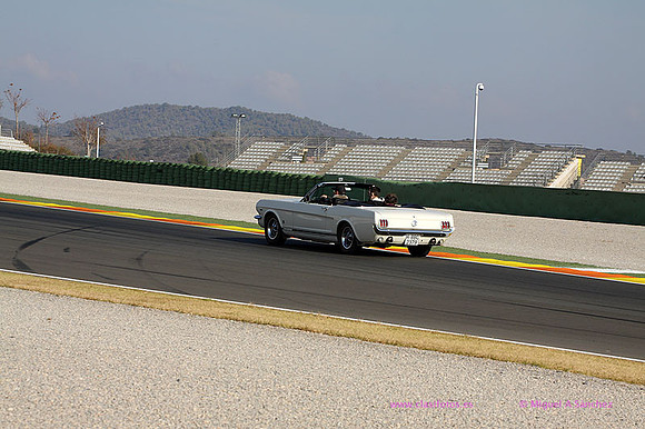 XIJornadas Ed Especial cheste0538
