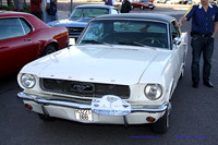 CabalgadaMustang357