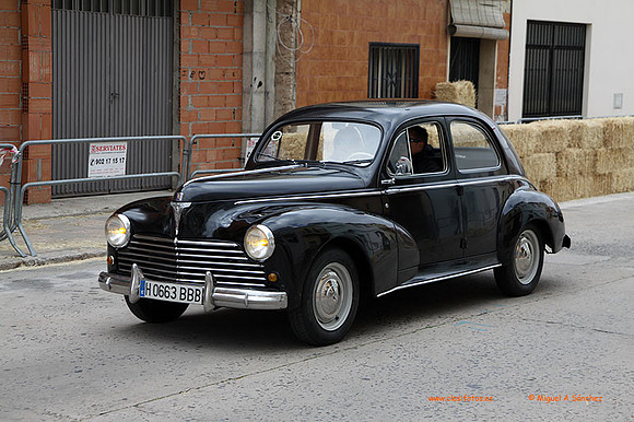 AgroGuadassuar0031