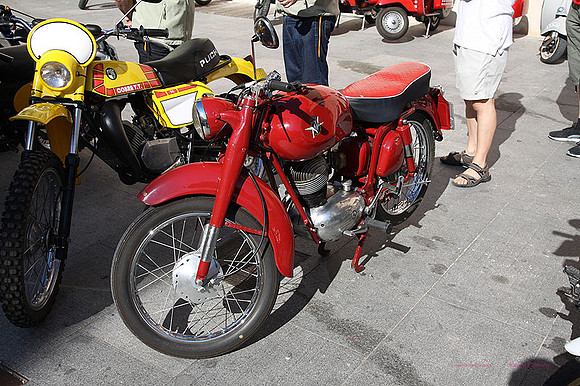 XCocConcentaina115
