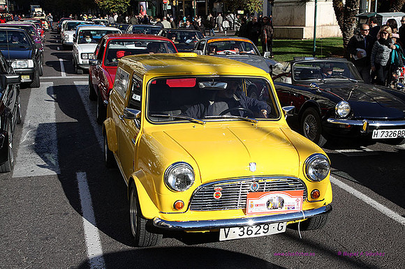 IVUrbanoSolidario295