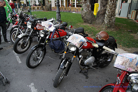 IGuardiaUrbanoSolidario203