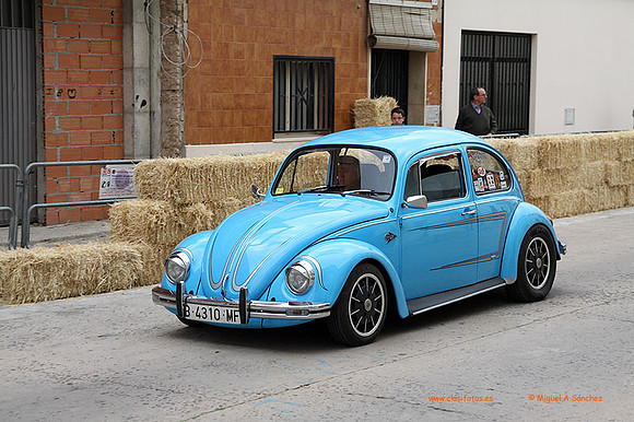 AgroGuadassuar0039