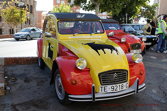 IConcTeruel_292