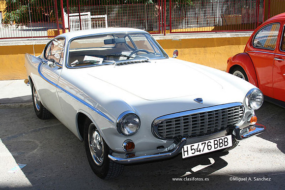 Chiva016