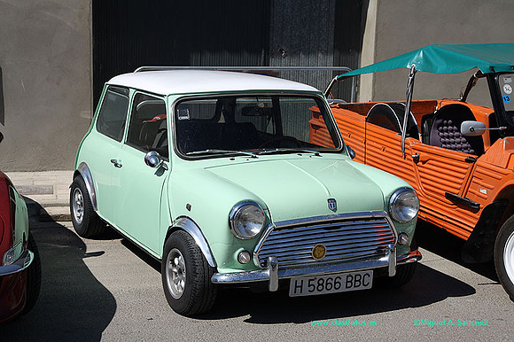IConcentracionMacastre050