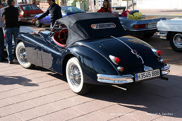 VConcGandia193