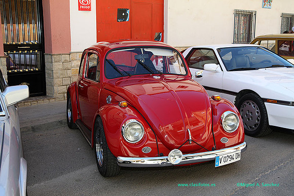 IConcentracionMacastre016