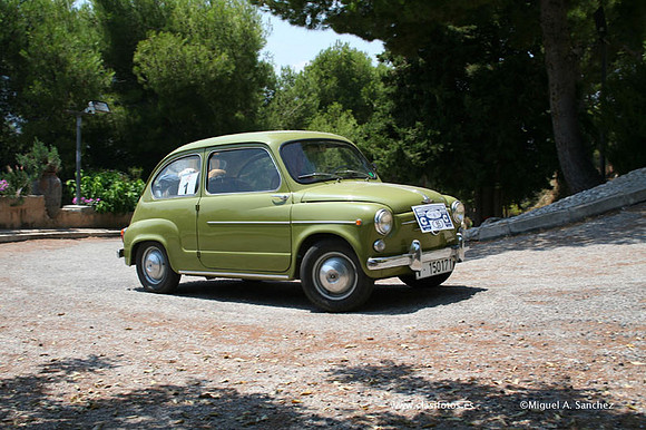 ConcentracionDenia2006172