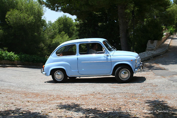 ConcentracionDenia2006184
