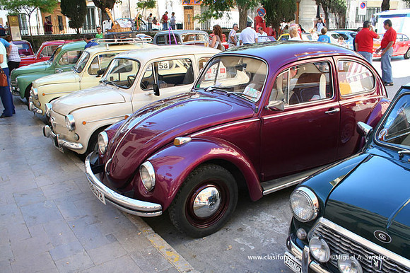 Chiva102