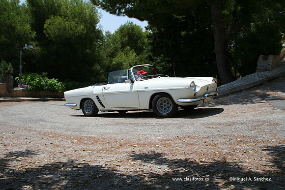 ConcentracionDenia2006147