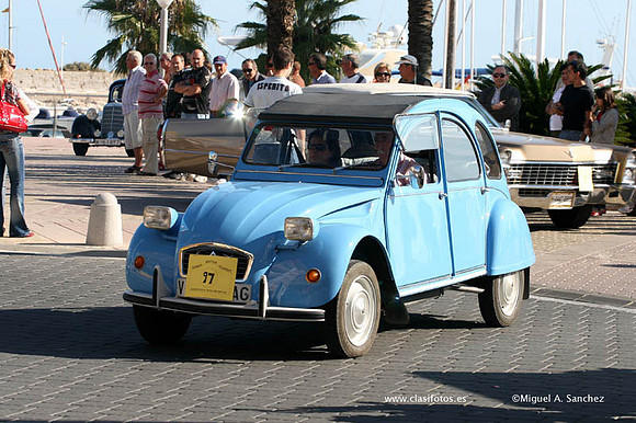 VConcGandia290
