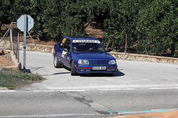 VIIRallyGandia437