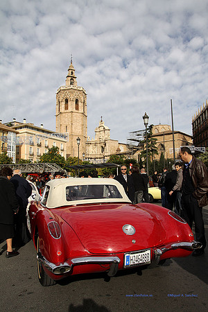 IGuardiaUrbanoSolidario261