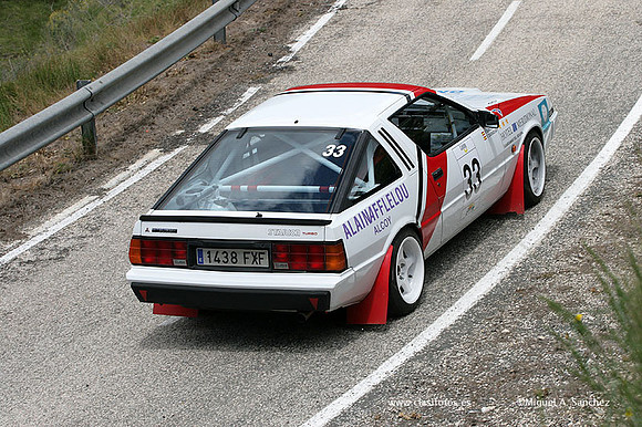 RallyCostaBlanca2010648