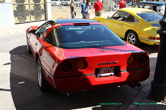 IConcentracionMacastre026
