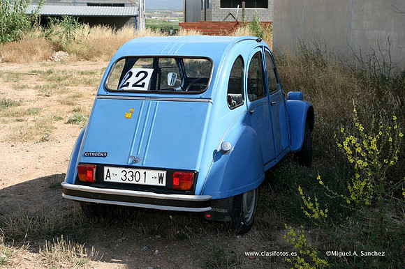 IIIConcentracionUtiel0088