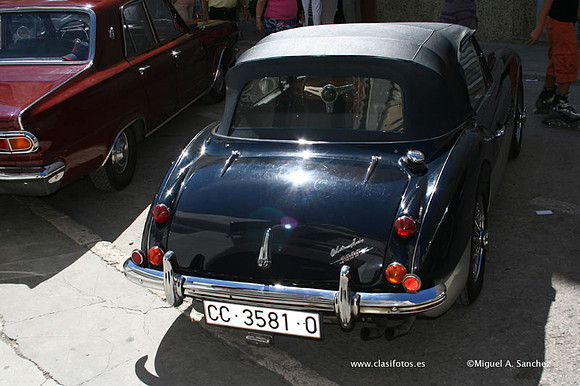 Chiva109