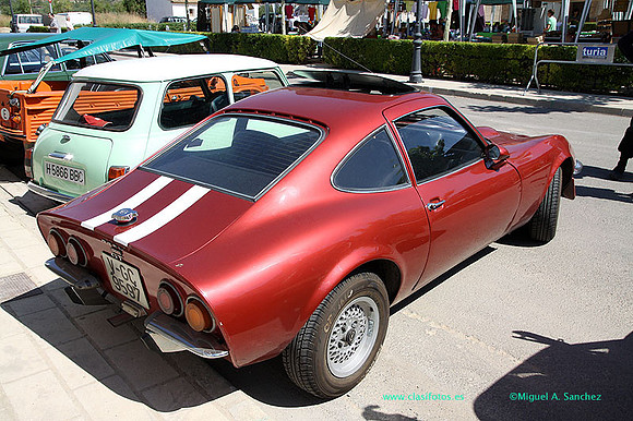 IConcentracionMacastre075