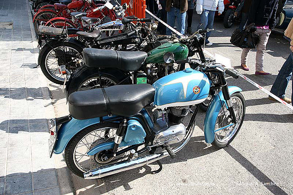 Rotova2009125
