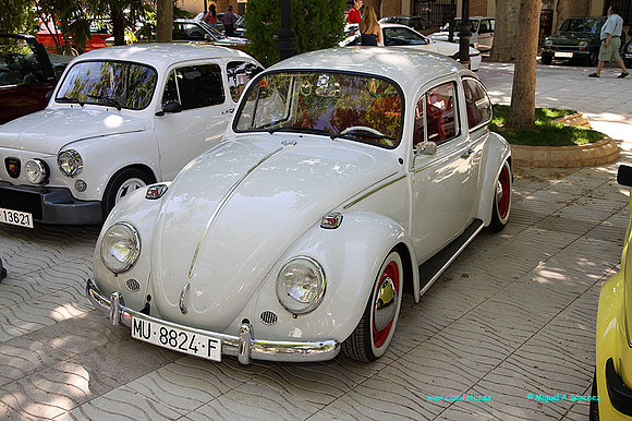 X Conc Utiel050