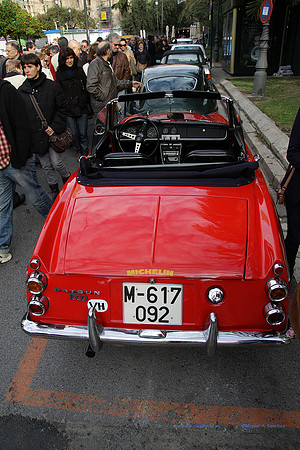 IGuardiaUrbanoSolidario216