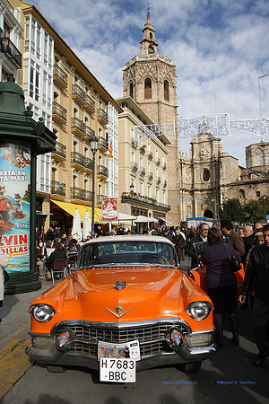 IGuardiaUrbanoSolidario238