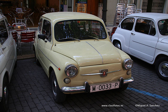 ConcentracionDenia2006085