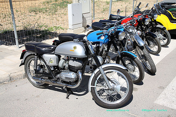IConcentracionMacastre033
