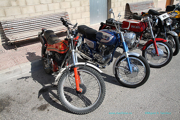 VIConcBocairent095