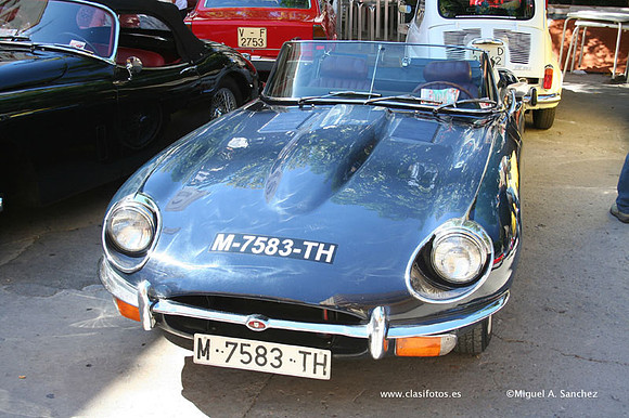 Chiva087