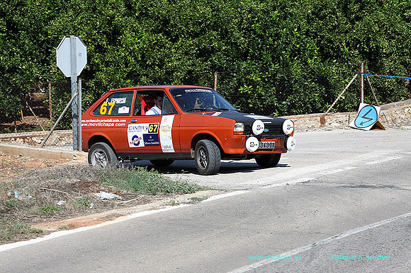 VIIRallyGandia389