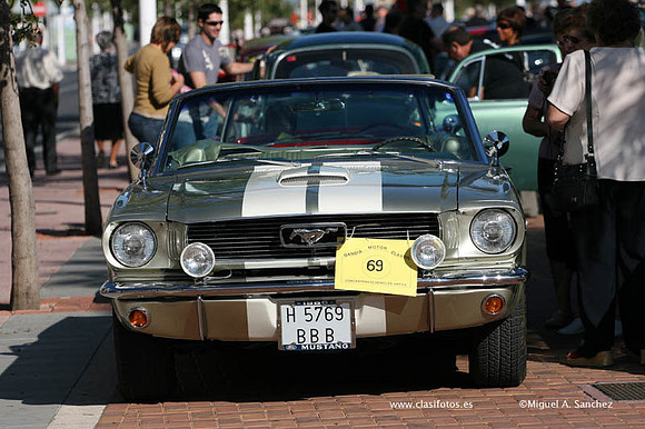 VConcGandia235