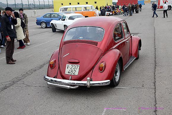 XIJornadas Ed Especial cheste0098