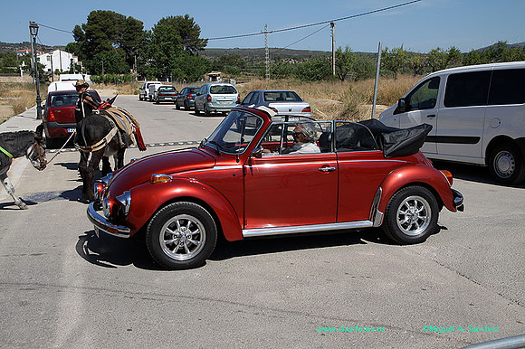 IConcentracionMacastre062