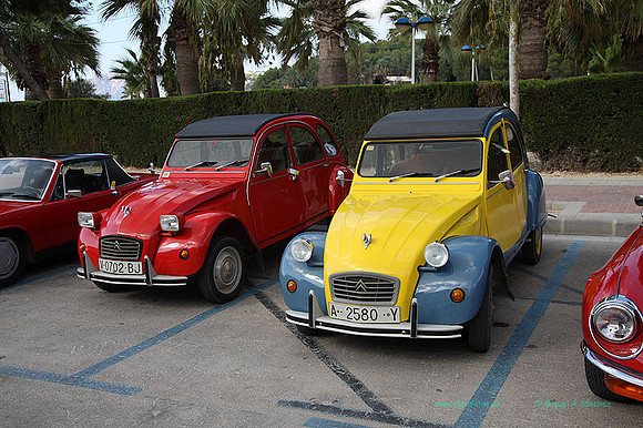 IIConcMoraira034