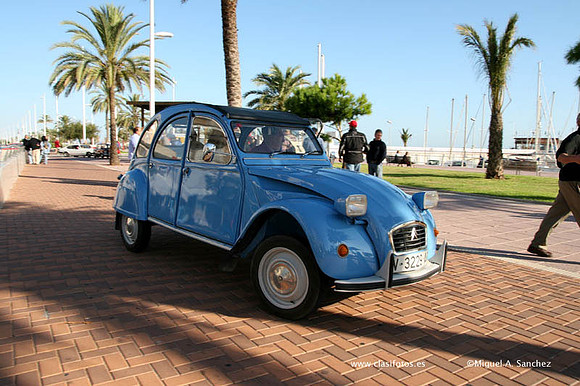 VConcGandia121