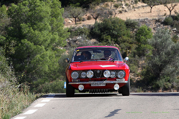 Tourist Trophy313