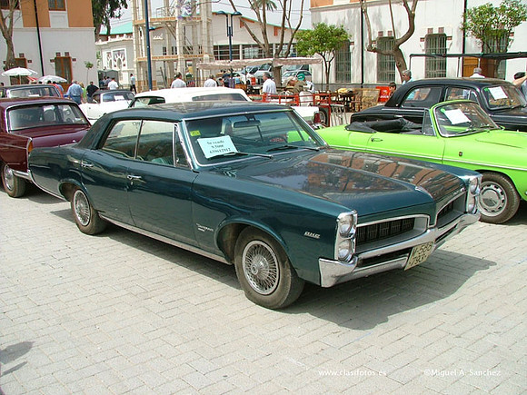 DSCF6984