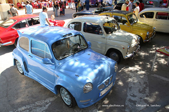 Chiva073