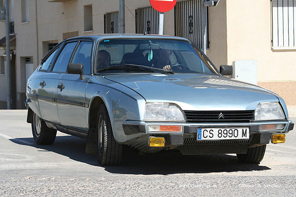 Chiva149
