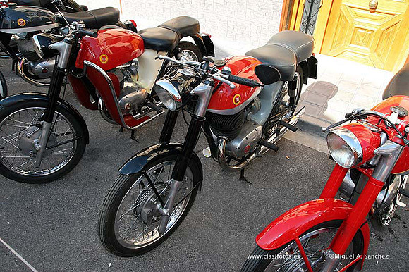 Rotova2009090